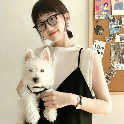 罪案终结第一季